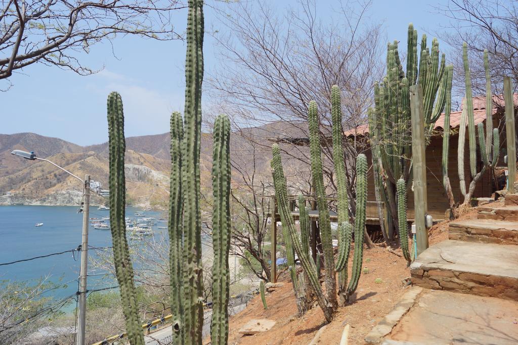 Hotel Cactus Таганга Екстериор снимка
